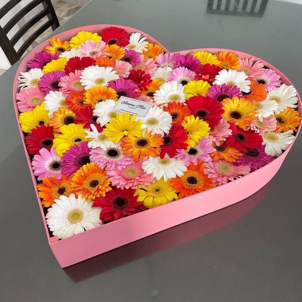 Caja Coraz N Rosa Jumbo Con Gerberas Amore Mio Flores