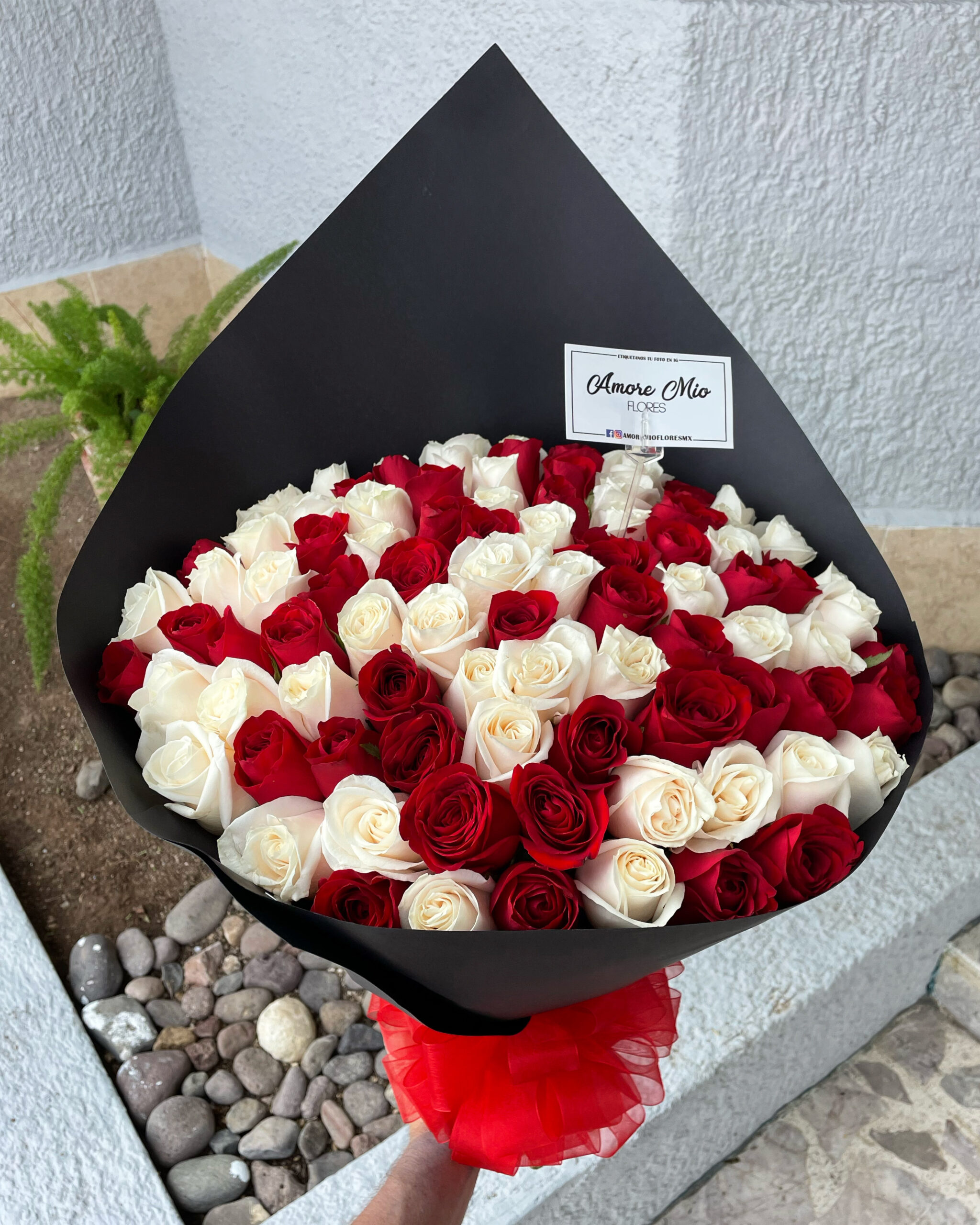 Ramo de 100 rosas rojas y blancas - Amore Mio Flores