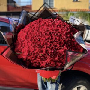 Ramo de 500 rosas rojas