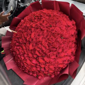 Ramo de 300 rosas rojas